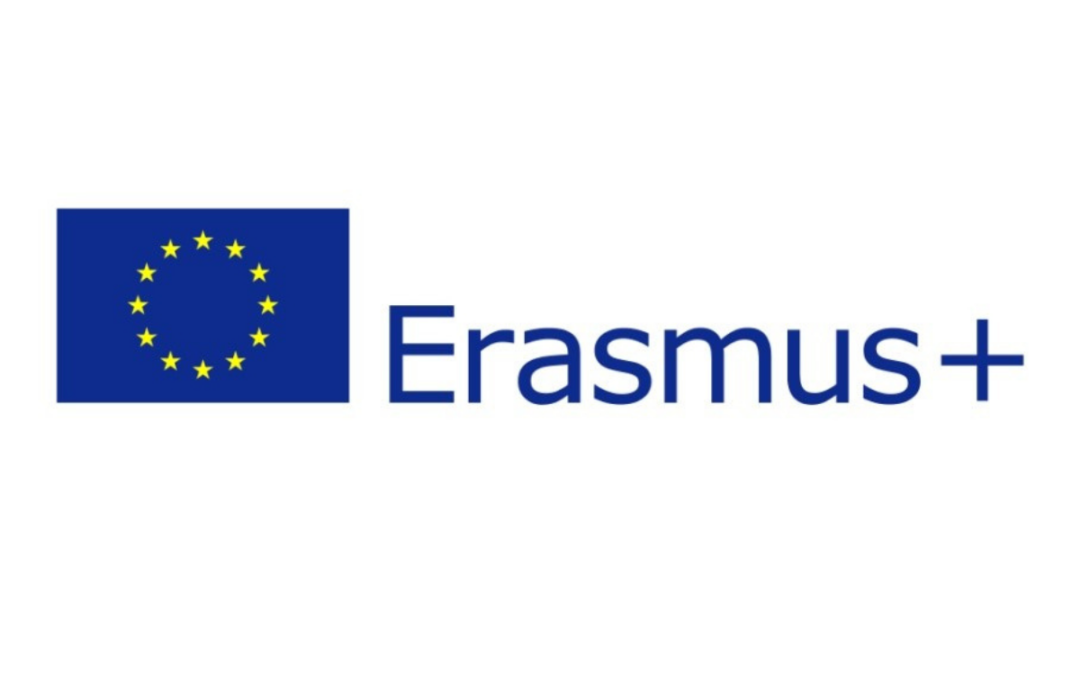 Erasmus+KA203